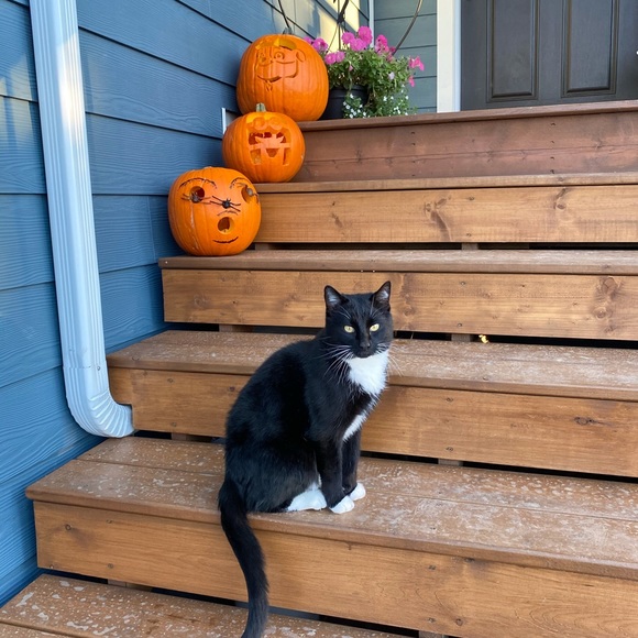 Meet your Posher, Jayna - Picture 1 of 1